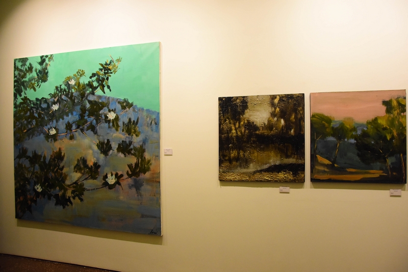 A Walk in the Paysages Intérieurs of David Daoud